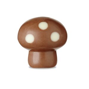 Paddenstoel karamel hazelnoten